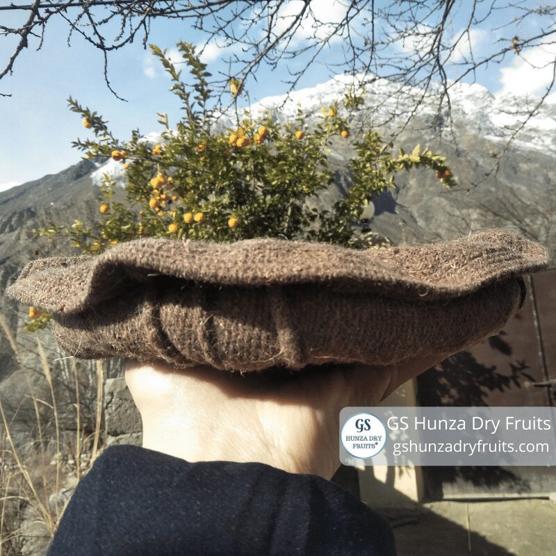 Brown Chitrali Handmade woolen cap