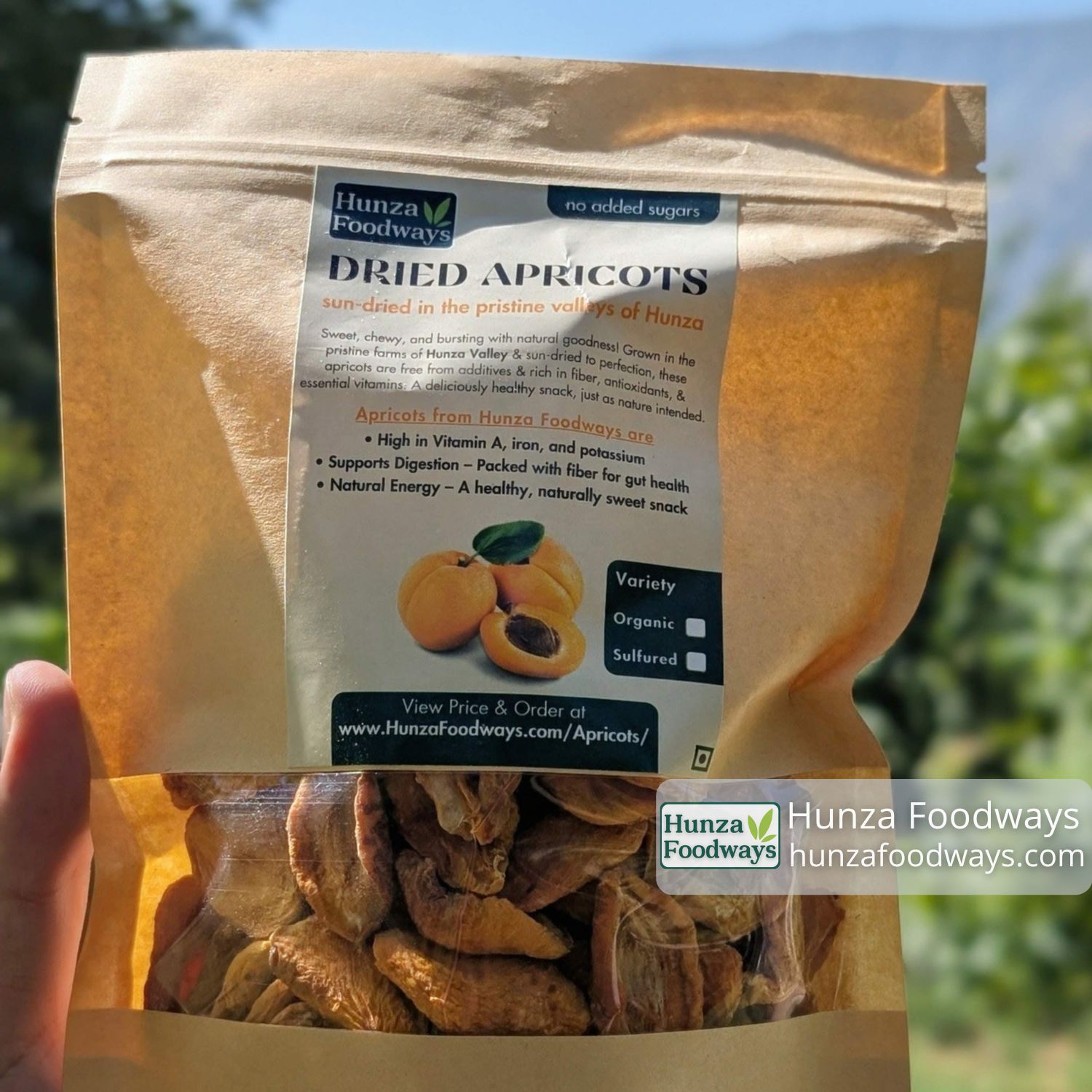 Dry Apricot at best price in Pakistan