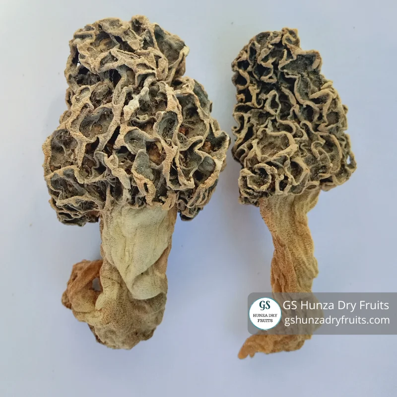 Dried Morel Mushrooms By GS Hunza Dry Fruits