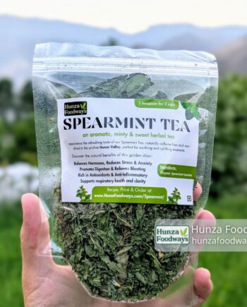 Spearmint Tea in Pakistan (4)