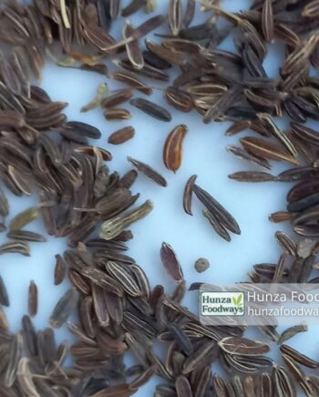 cumin-seeds-black-zeera-astore-pakistan