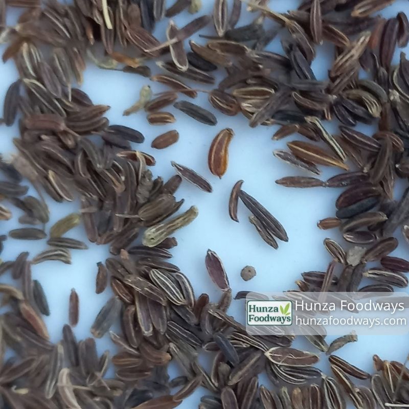 cumin-seeds-black-zeera-astore-pakistan