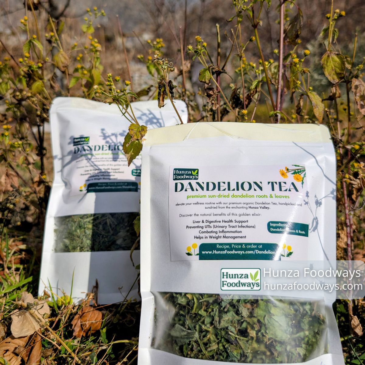 Dandelion Tea in Pakistan