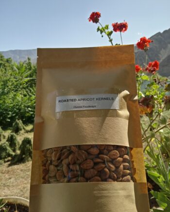 Roasted Sweet Apricot Kernels (خوبانی گیری)