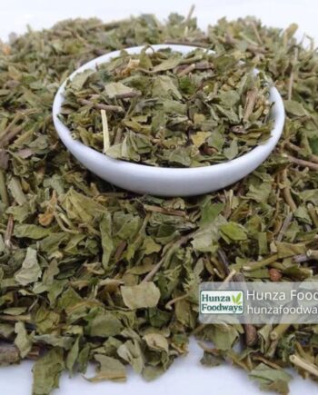 gymnema sylvestre tea in pakistan from hunza (2)
