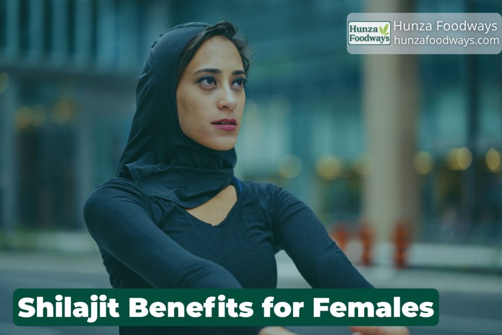 shilajit benefits for female sexually