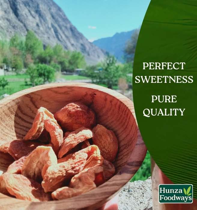 Hunza Dried Apricots in Pakistan